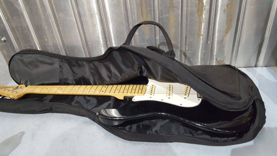 Washburn Lyon Series Electric Guitar With Case Auction