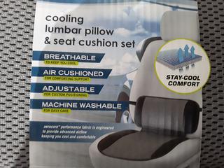 Aerocore 2025 lumbar pillow