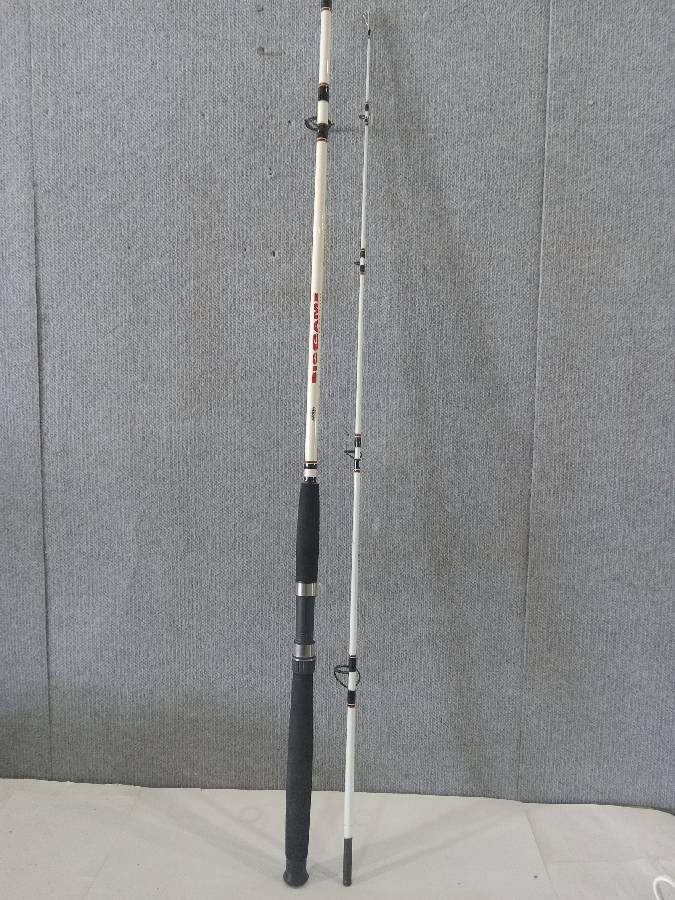 big lots fishing poles Berkley Big Game Power Series Fishing Pole BGS802MH 8' Med R Auction