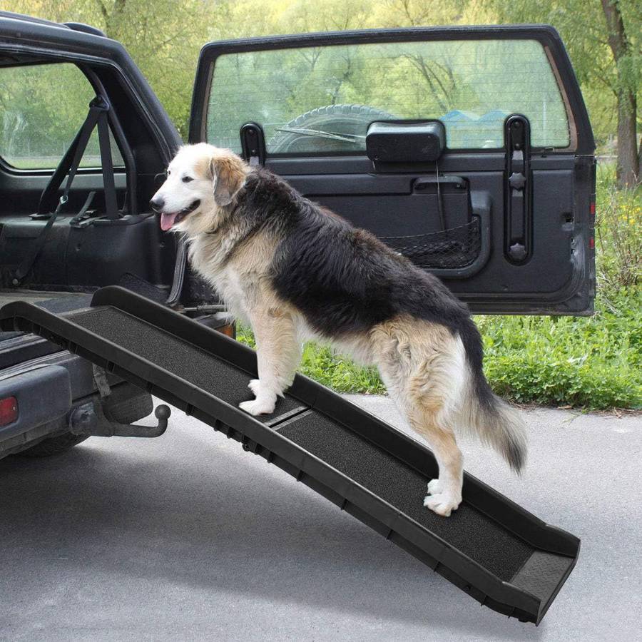 Large dog outlet ramp for truck