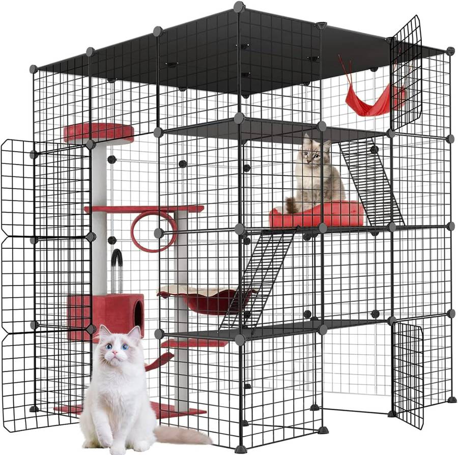 Large cat outlet kennels