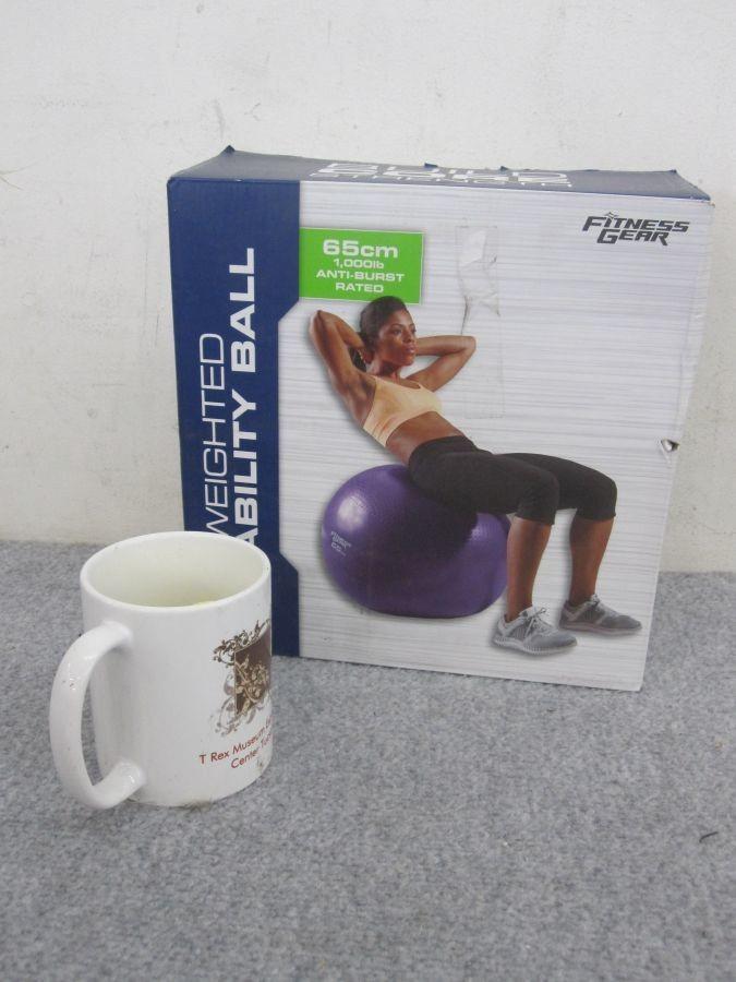 fitness gear weighted stability ball