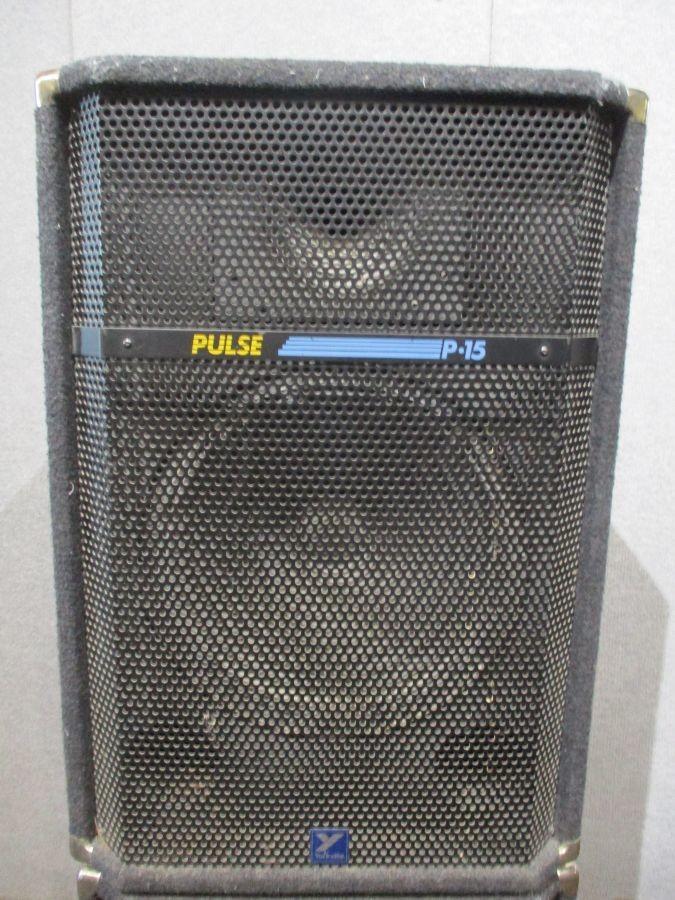 Pulse P15 Yorkville Speaker Auction | Auction Synergy