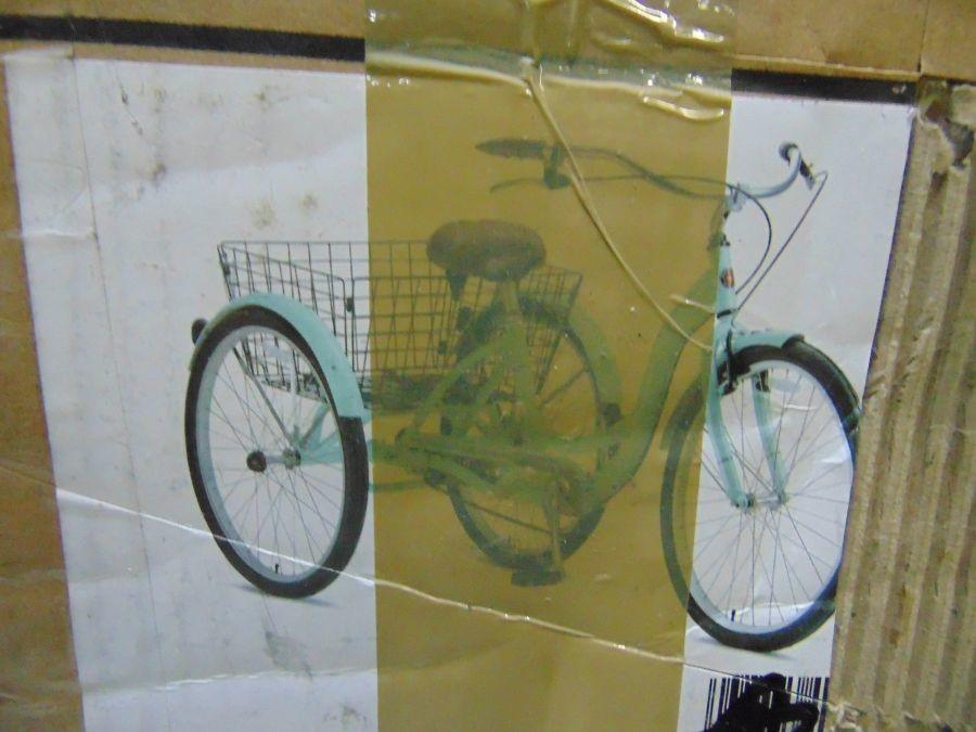 schwinn adult tricycle mint